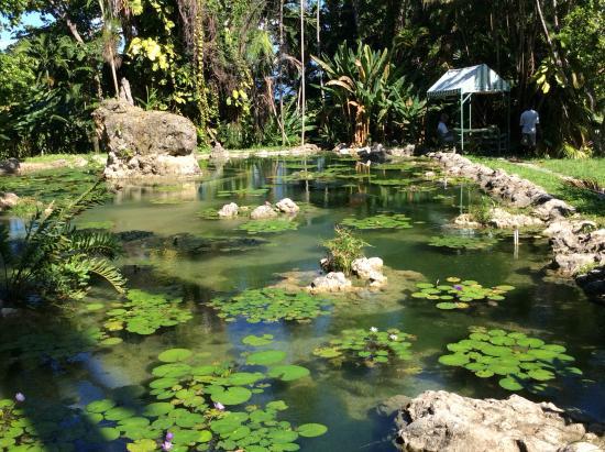 The Enchanted Gardens