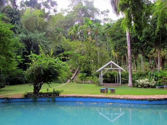 Shaw Park Gardens & Waterfalls